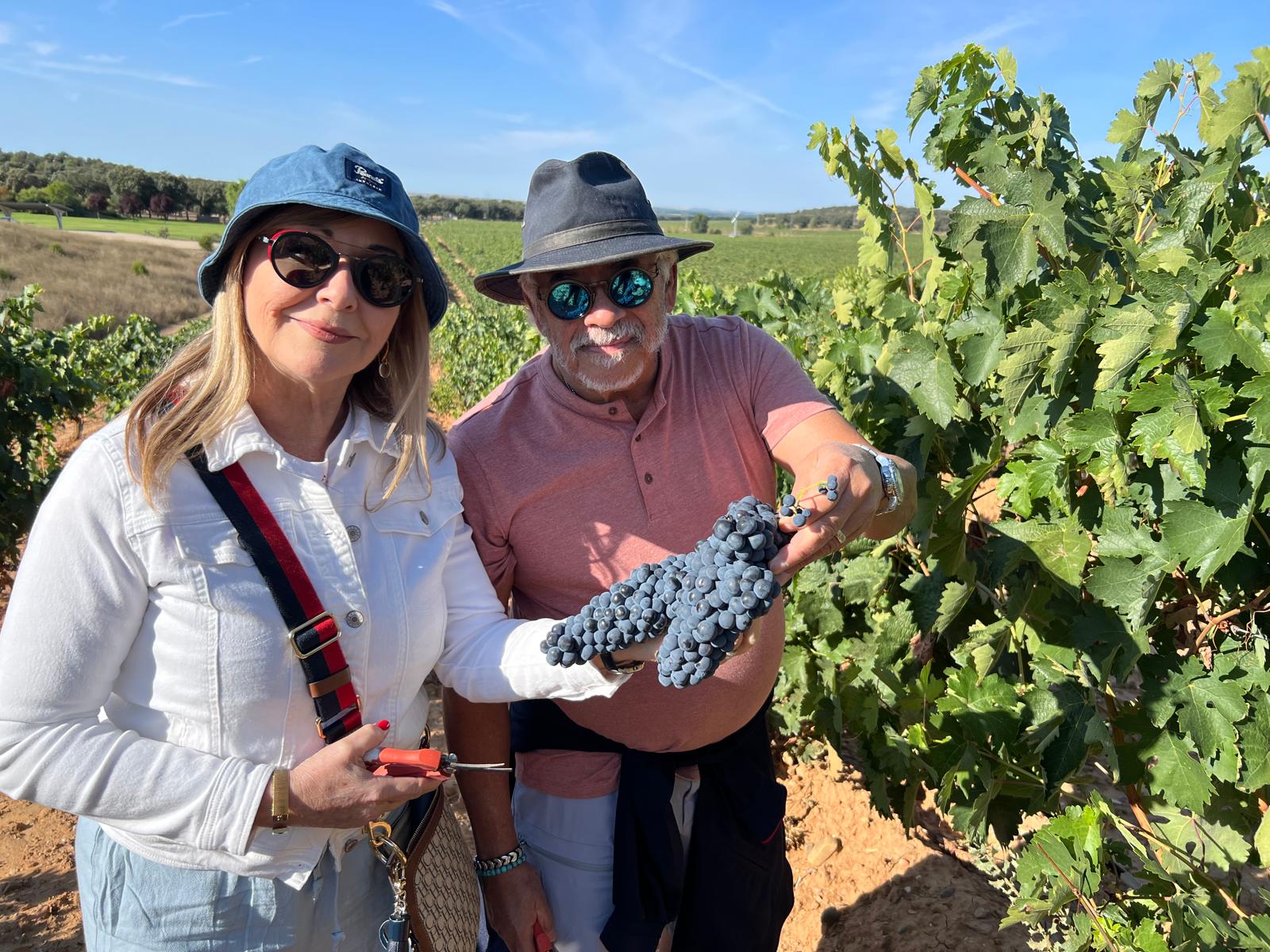 Two people in a vineyard holding grape clusters